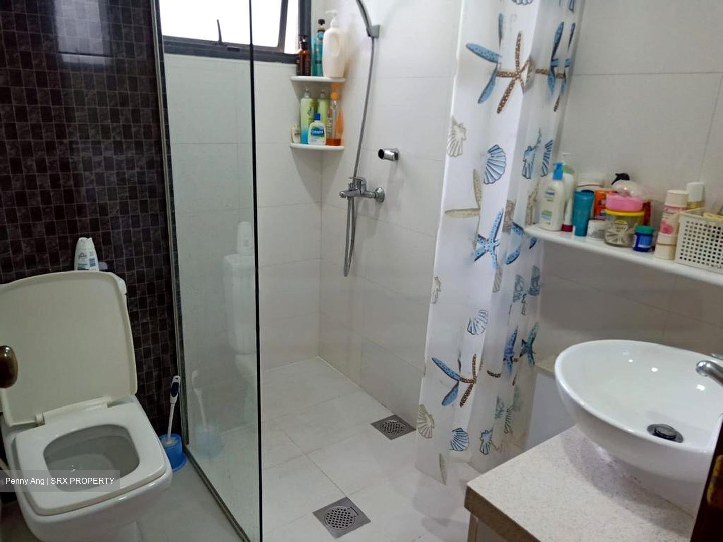 Carissa Park Condominium (D17), Condominium #491955041